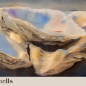 Oyster-shells