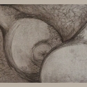 Etching - Pears